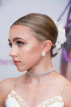 Load image into Gallery viewer, AZ0014 16mm AB Mixed Cluster Earrings (Pierced)